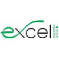 Excel Industrial Group logo - Similar company to Cactus Environmental Services