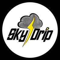 Skydrip Studios logo - Similar company to Squishiverse