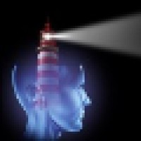 Lighthouse Software Strategies