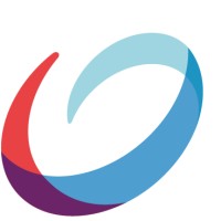 NSI Luxembourg PSF logo - Similar company to Planisware Mis