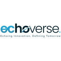 Echoverse logo - Similar company to Digital Mantra Academy