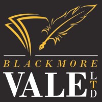 Blackmore Vale Ltd logo - Similar company to Loopi Media