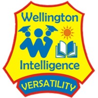 Wellington Intelligence School logo - Similar company to Nakamura School