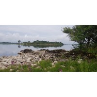 CLERAUNE PLANT TRAINING LIMITED logo - Similar company to Kh Plant Training Ltd