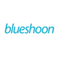 Blueshoon Web Development logo - Similar company to 10Com Web Development