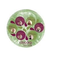elycorp. logo - Similar company to Iasagora