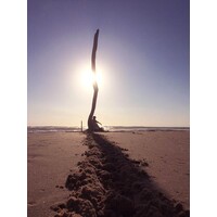 Terres d'Osmose logo - Similar company to Ludosens