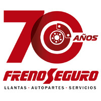 Frenoseguro Ecuador logo - Similar company to Tecnova