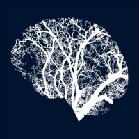 Toouk logo - Similar company to Area Town