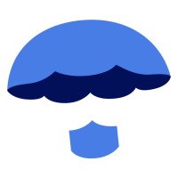 Blue Parachute Group logo - Similar company to Premier Focus Solutions