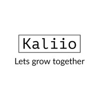 Kali IO Solutions logo - Similar company to Metasoft10 Technologies