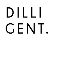 DILLIGENT logo - Similar company to Dilligent Corp