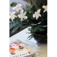 EVIGR logo - Similar company to Staaltro