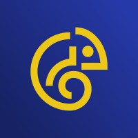 Pingle Studio logo - Similar company to 4A Games