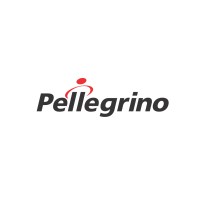 Pellegrino Autopeças e Motopeças logo - Similar company to Dpk - Distribuidora Automotiva