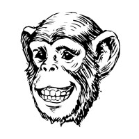 El Mono Bandido logo - Similar company to Baboom Marketing