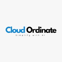 Cloud Ordinate logo - Similar company to Itfellow Solution Network