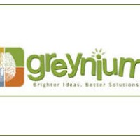 Greynium Information Technologies