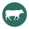 GLOBAL CATTLE EXPORTS LIMITED logo - Similar company to Bioenz Technologies Ltd