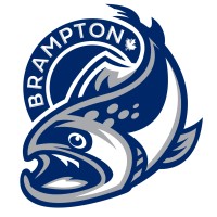Brampton Steelheads Hockey Club logo - Similar company to Saint John Sea Dogs