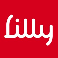 Lilly Pet Hair Clean-up logo - Similar company to Domoto