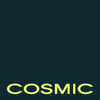 Cosmic logo - Similar company to D & B Style Llc
