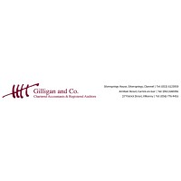 Gilligan & Co Chartered Accountants and Registered Auditors logo - Similar company to Park Chambers Chartered Accountants