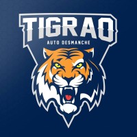 Tigrão Auto Peças logo - Similar company to Attmos Consultoria