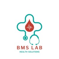 BMS LAB - Health Solutions srls logo - Similar company to The Bms Lab | University Of Twente