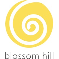 Blossom Hill Foundation logo - Similar company to Global Changemaker Collective