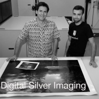 Digital Silver Imaging logo - Similar company to Lahaina Galleries