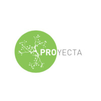 Proyecta SPA logo - Similar company to Agencia Proyecta Spa