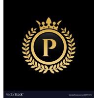 Pectong BV logo - Similar company to Fastlane Development