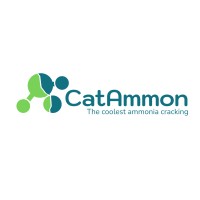 CatAmmon logo - Similar company to Solidt
