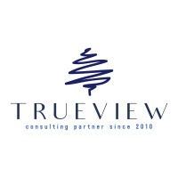 TRUEVIEW Global logo - Similar company to Please Be Talent