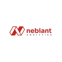 Nebiant Analytics logo - Similar company to 10Alytics
