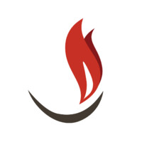 BAPS Charities logo - Similar company to Baps Mandir Swaminarayan Hindou De Paris