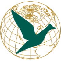 Flyway Express LLC logo - Similar company to Vmw Express