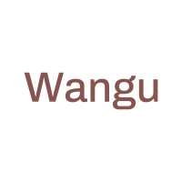 Wangu Bookkeeping logo - Similar company to Doctors-E-Consult