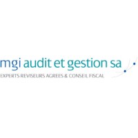 MGI Audit et Gestion SA logo - Similar company to Revenge