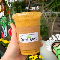 Carrot Flower logo - Similar company to Egyptian European Co. For Food Products