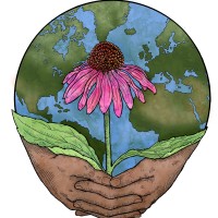 Sustainable Herbs Initiative logo - Similar company to Doselva Pbc