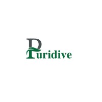 Puridive Co logo - Similar company to Nawargroup