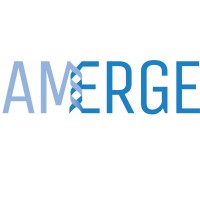 AMERGE LLC logo - Similar company to Amerge Media