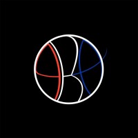Premier Basketball Academy logo - Similar company to Team Esface Basketball Academy