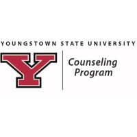 Youngstown State University - Counseling Program logo - Similar company to Baldwin County School District