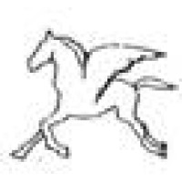 Pegasus Investments, a division of MRA Investments, Inc. logo - Similar company to Pegasus Energy Tech