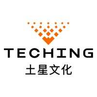TECHING logo - Similar company to Techin