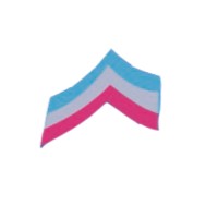 Solution Financial London logo - Similar company to Burns Brightiff Consulting