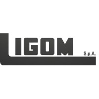 LIGOM S.p.A. logo - Similar company to Hexpol Compounding